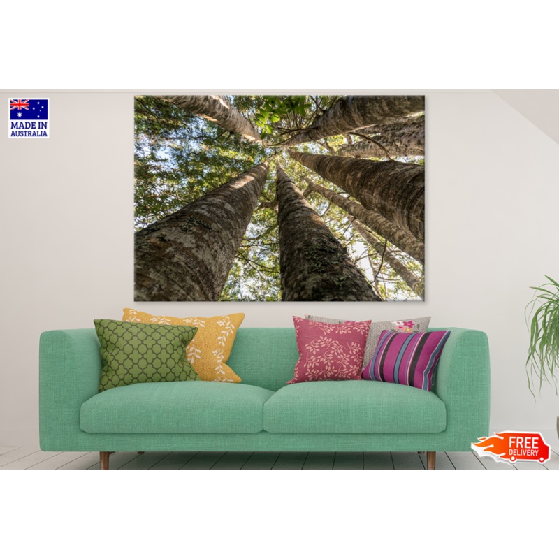 Trees View From Below Photograph Print 100% Australian Made