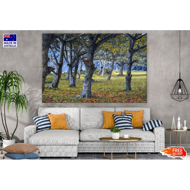 Trees with Black Bark Photograph Print 100% Australian Made