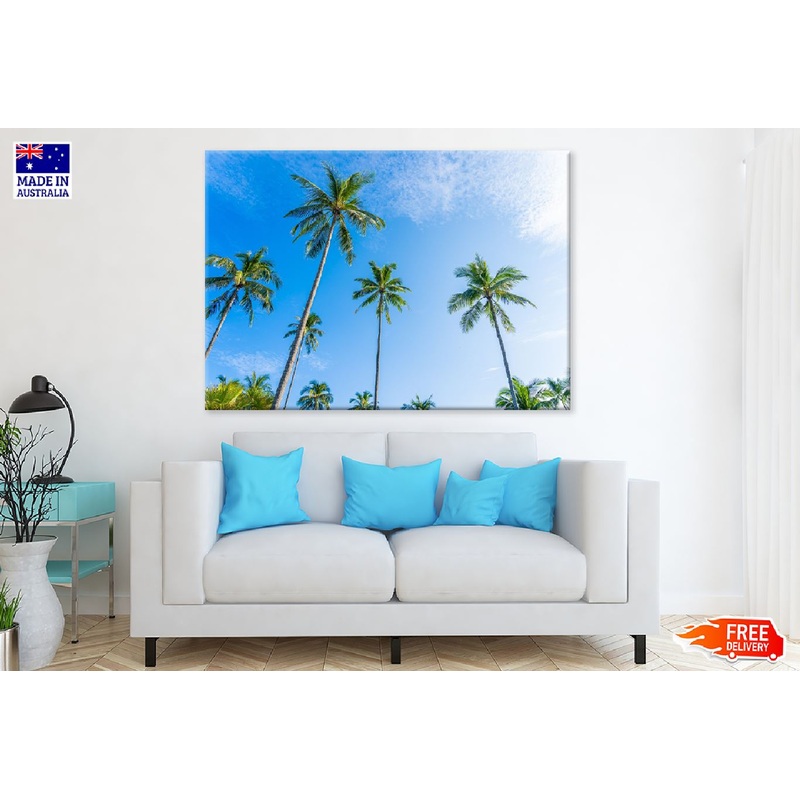 Tropical Palm Trees & Blue Sky Photograph Print 100% Australian Made