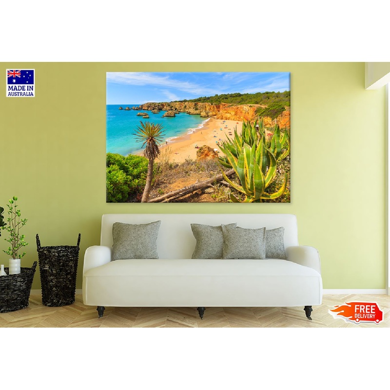Tropical Plants on Cliff Rocks View Photograph Print 100% Australian Made