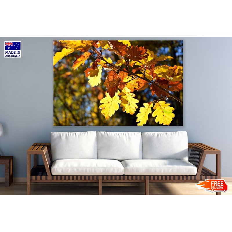 Yellow Autumn Leaves Tree Branch Photograph Print 100% Australian Made