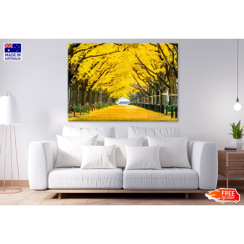 Yellow Flower Trees & Road Photograph Print 100% Australian Made