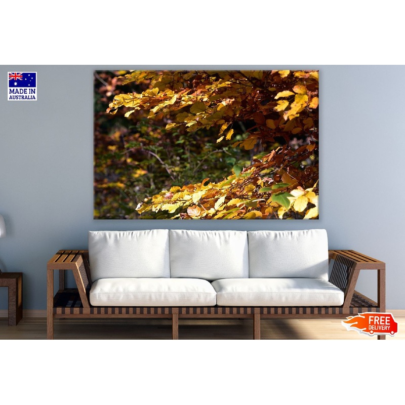 Yellow Leaves Tree Branch Photogaph Print 100% Australian Made
