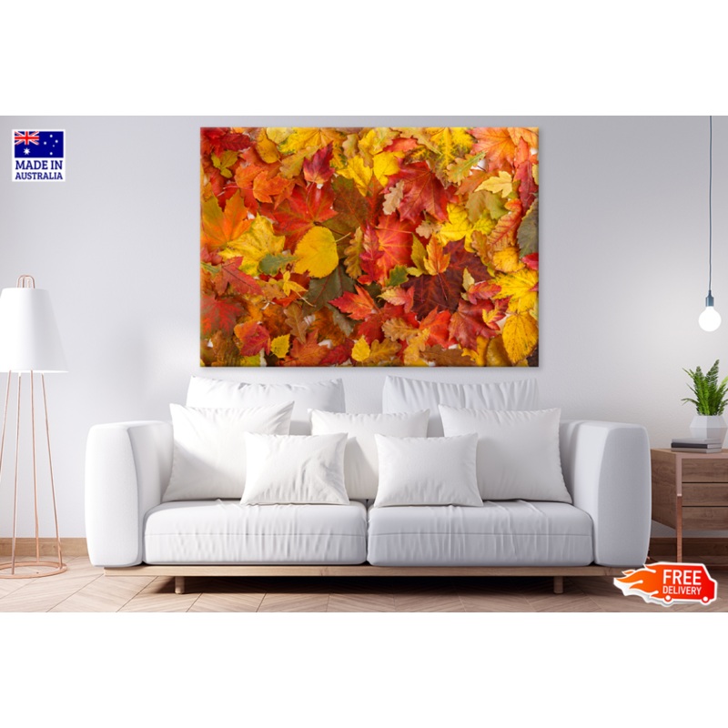 Yellow & Orange Autumn Leaves Photograph Print 100% Australian Made