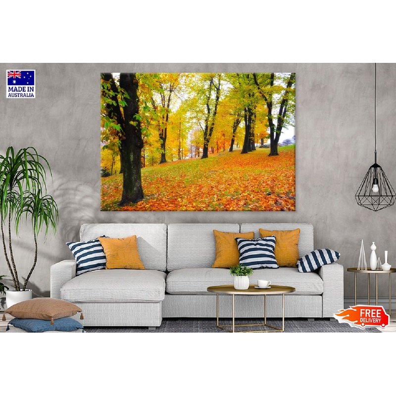 Yellow Red Autumn Trees Park View Photograph Print 100% Australian Made