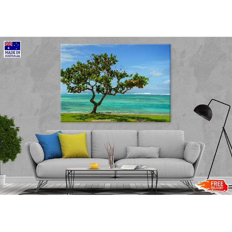 Alone Tree Near Sea Photograph in Okinawa Print 100% Australian Made