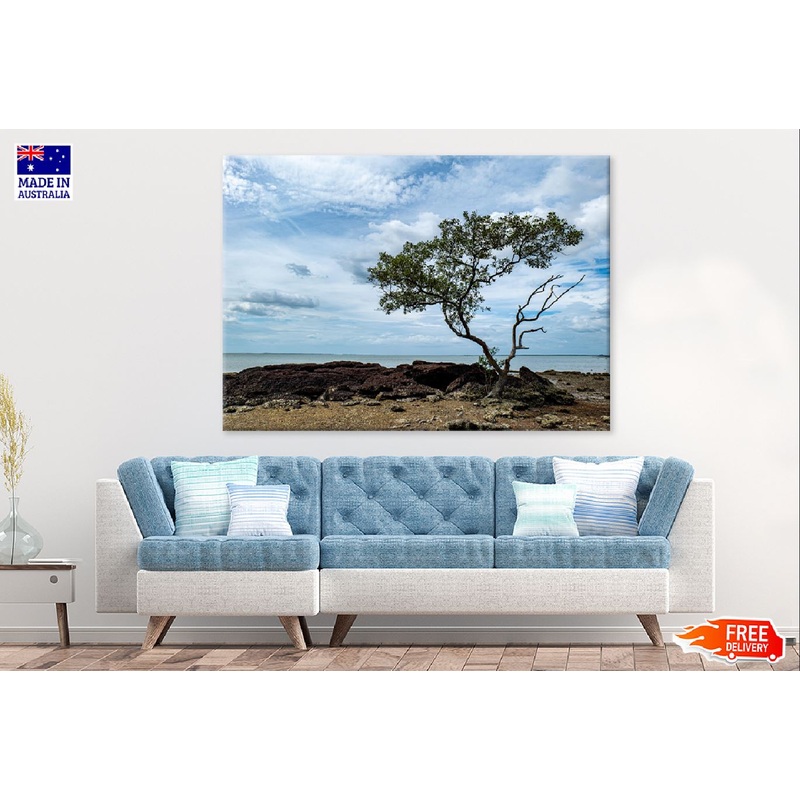 Alone Tree on Sea Shore View Photograph Print 100% Australian Made