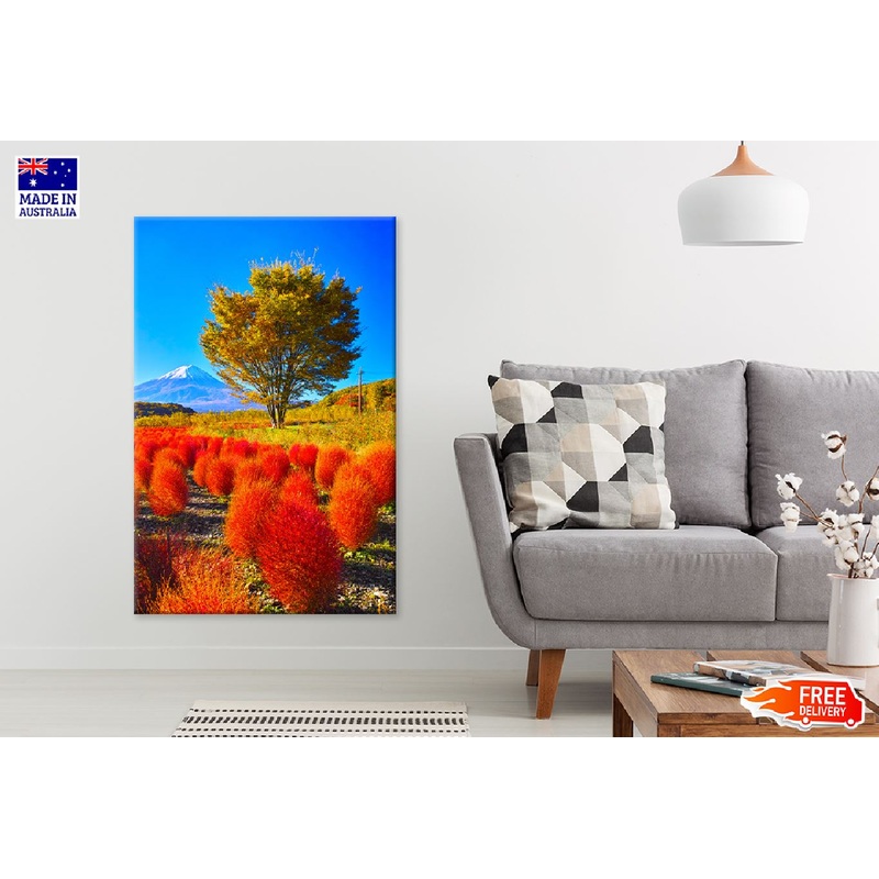 Alone Tree & Red Leaves Blooming Mountain View Photograph Print 100% Australian Made