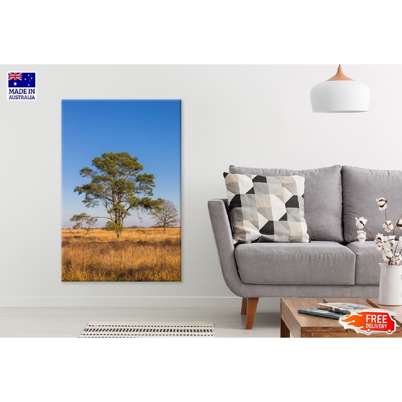 Alone Tree View on Noordsche Veld Photograph Print 100% Australian Made