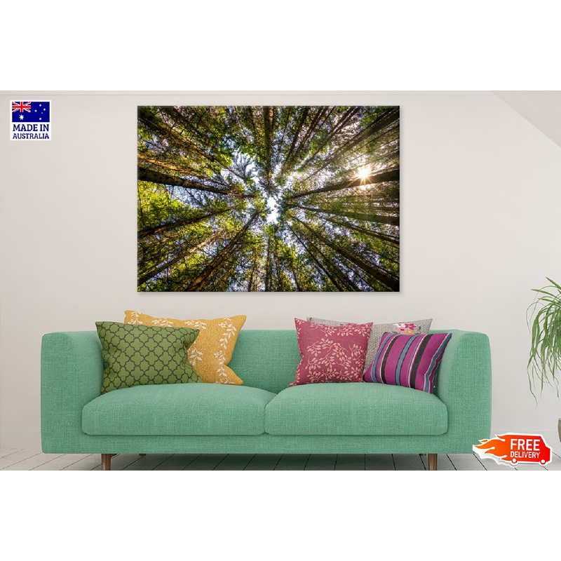 Angle View of Trees Forest View Photograph Print 100% Australian Made