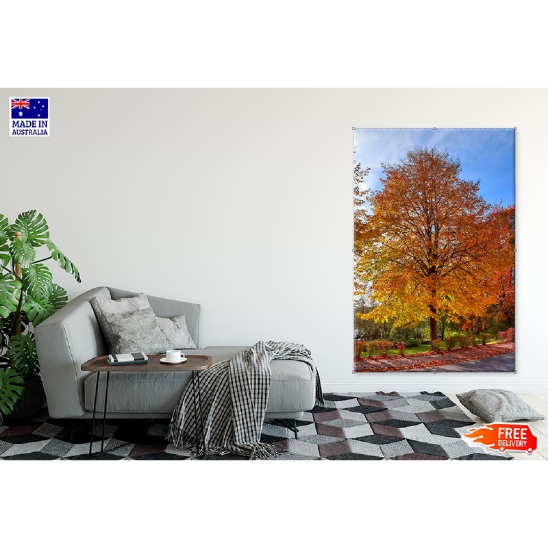 Autumn Orange & Red Tree View Photograph Print 100% Australian Made
