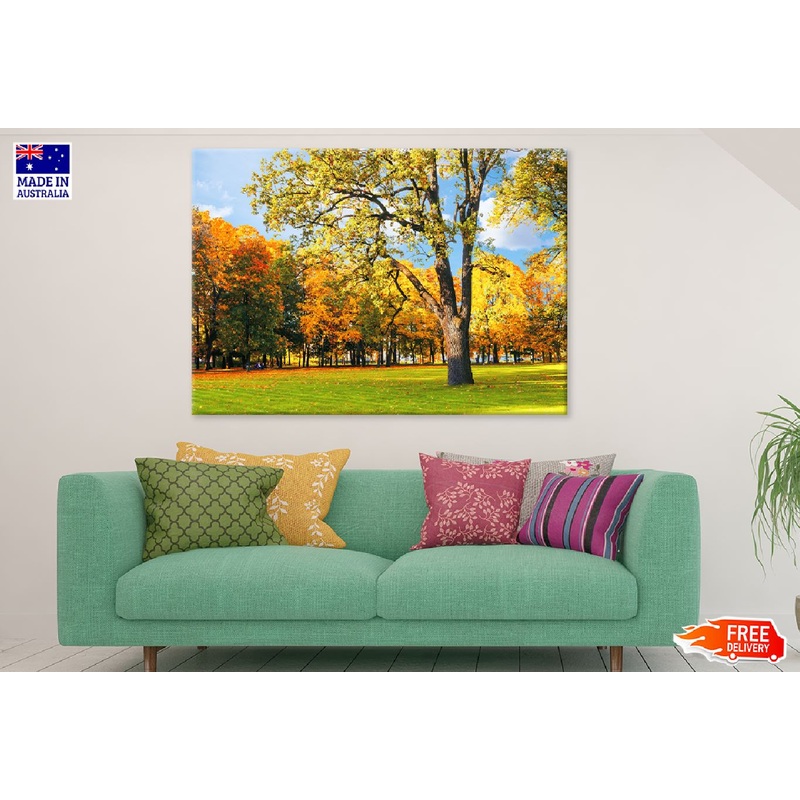 Autumn Park with Golden Trees Photograph Print 100% Australian Made