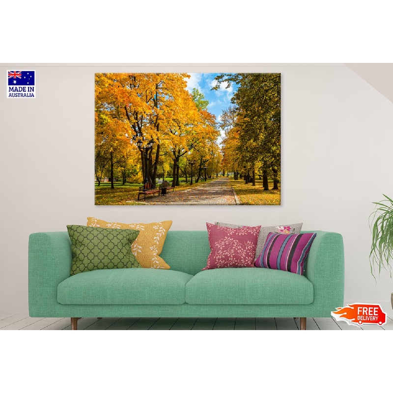 Autumn Tree Garden Pathway View Photograph Print 100% Australian Made