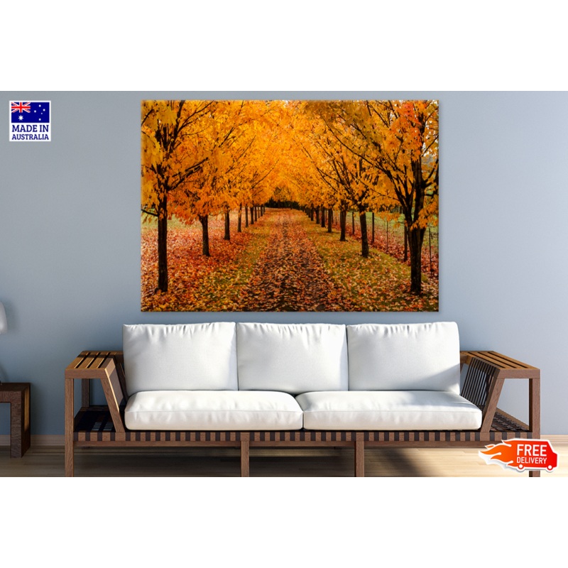 Autumn Trees & Road View Photograph Print 100% Australian Made
