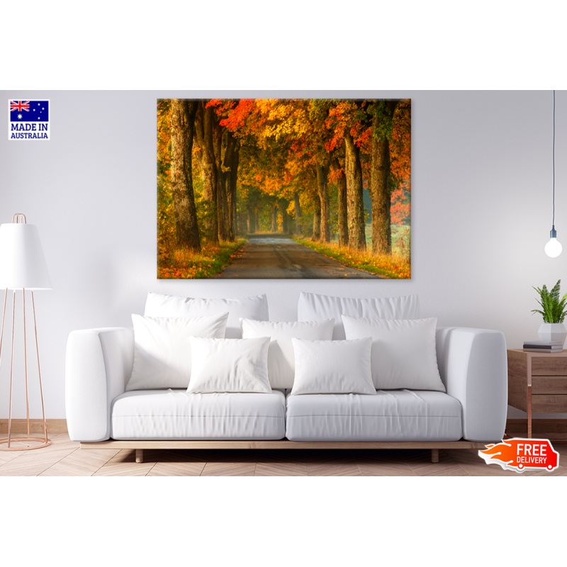 Autumn Trees & Walking Path Photograph Print 100% Australian Made