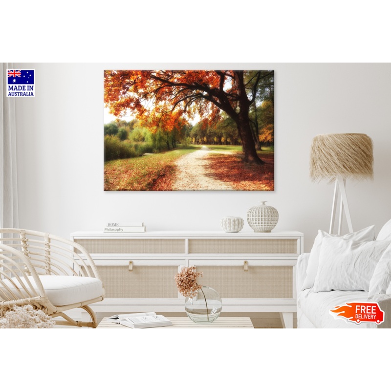 Autumn Trees & Walking Path View Print 100% Australian Made