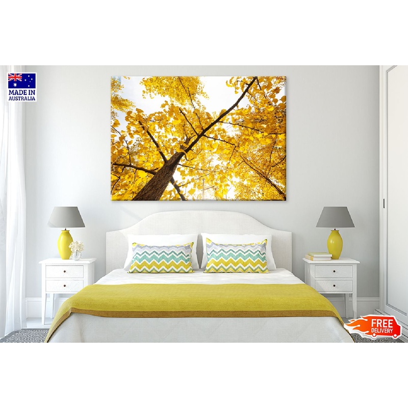 Autumn Yellow Ginkgo Tree Branch Photograph Print 100% Australian Made