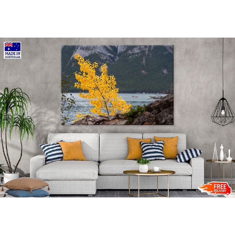 Autumn Yellow Tree Near Lake View Photograph Print 100% Australian Made