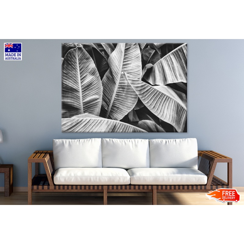 B&W Banana Leaves Closeup Photograph Print 100% Australian Made