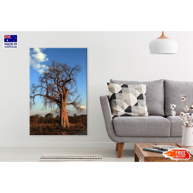 Baobab Tree & Blue Sky View Photograph Print 100% Australian Made