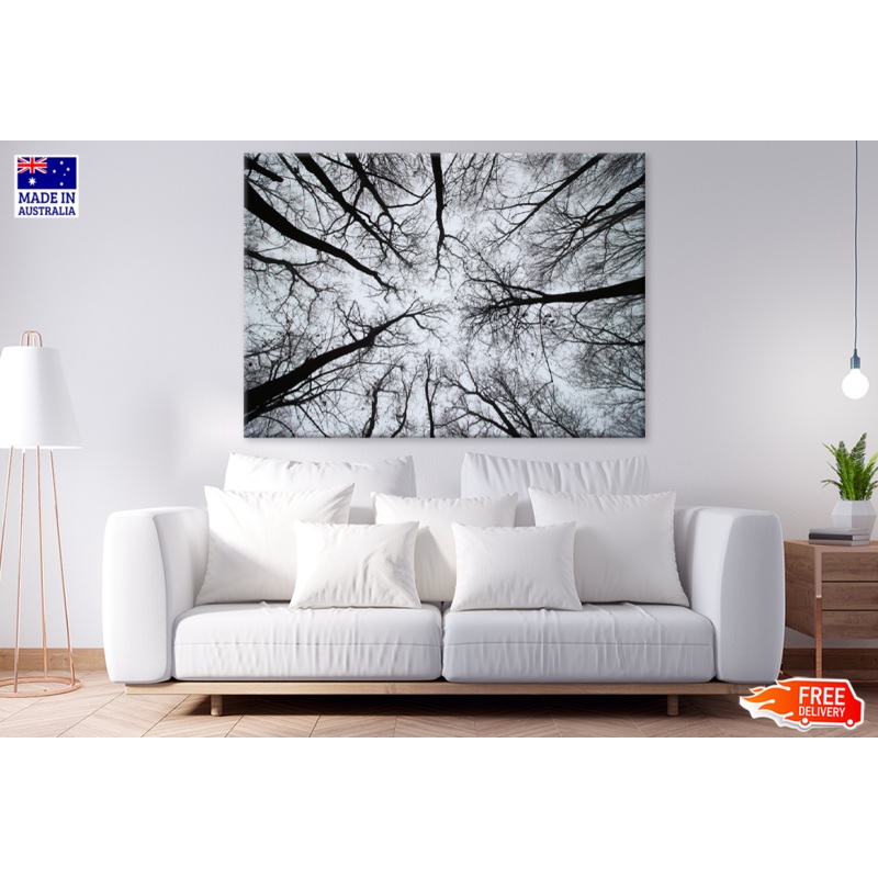 Below Trees B&W Photograph Print 100% Australian Made
