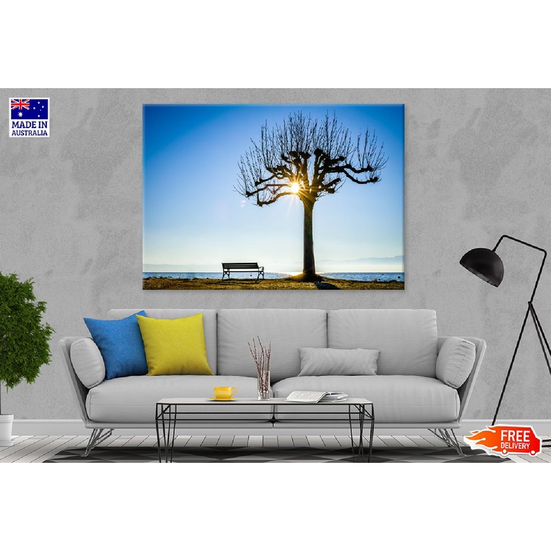 Bench with Old Dead Tree View Photograph Print 100% Australian Made