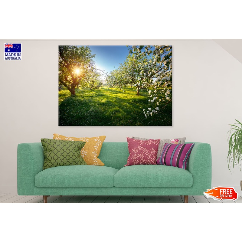 Blooming Lush Trees Garden View Photograph Print 100% Australian Made