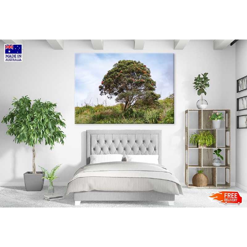 Blooming Pohutukawa Tree View Photograph Print 100% Australian Made