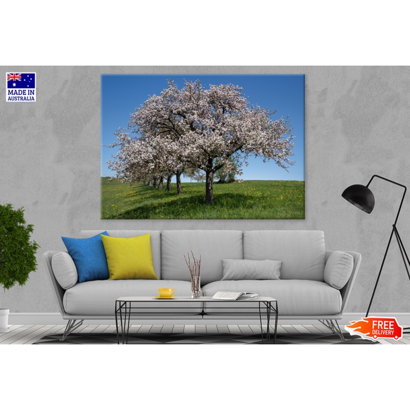 Blossom Flower Trees & Sky View Print 100% Australian Made