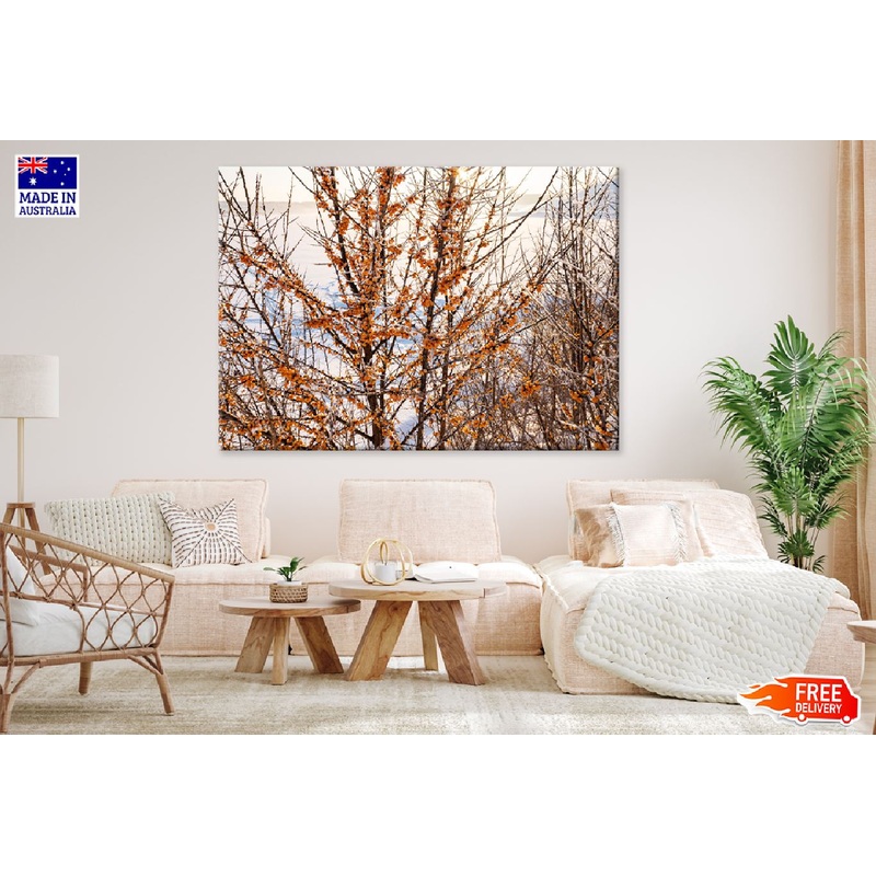 Bush Tree in Snow Field View Photograph Print 100% Australian Made