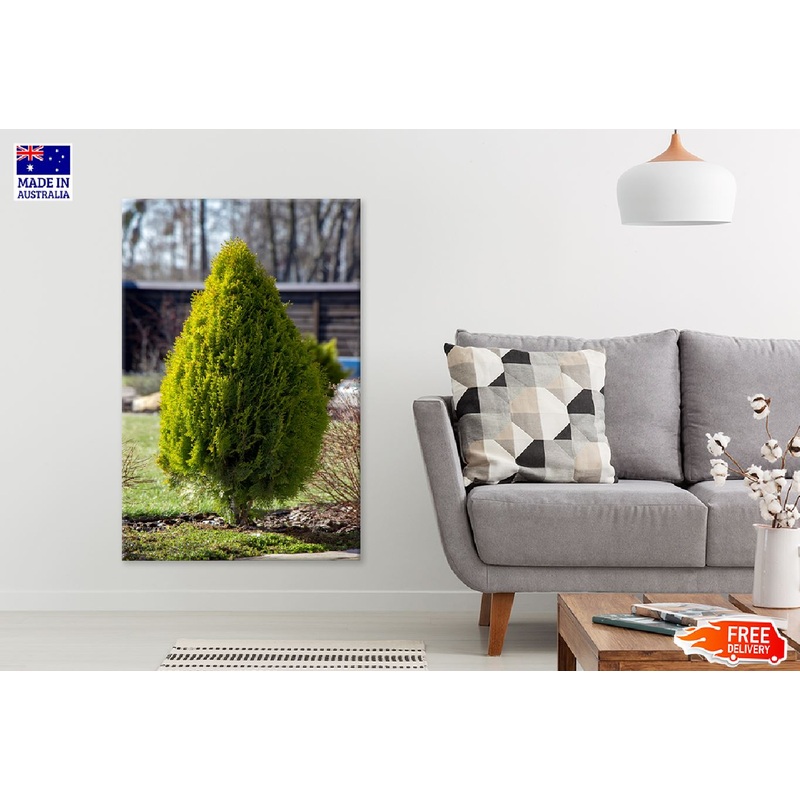 Bush Tree View in Garden Photograph Print 100% Australian Made