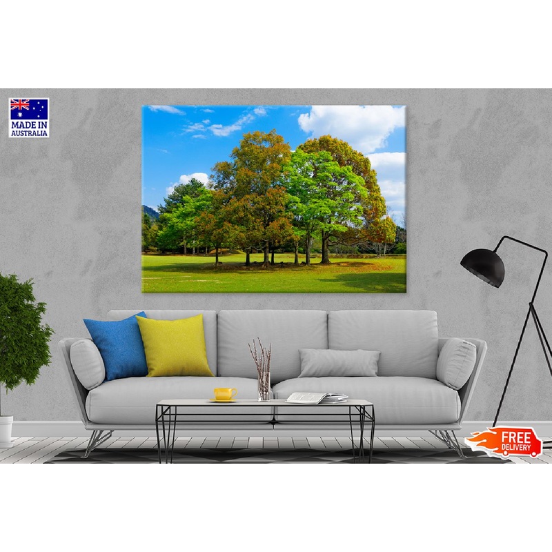 Casuarina Trees Green Field View Photograph Print 100% Australian Made
