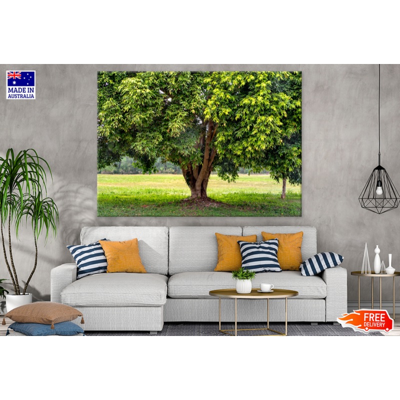 Tree & Grasses View Photograph Print 100% Australian Made