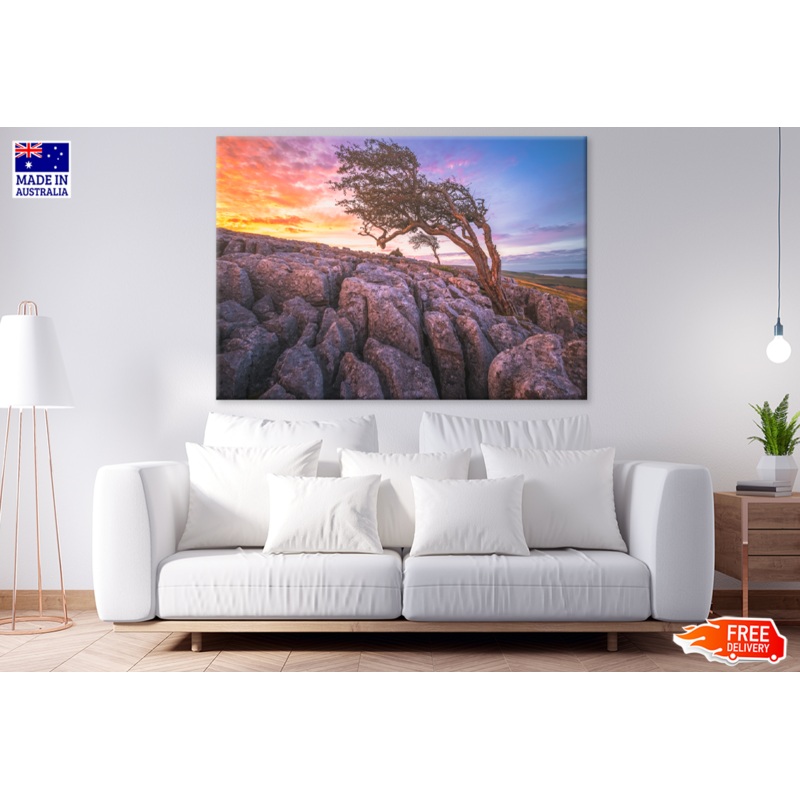 Tree On Rock & Sunset View Print 100% Australian Made