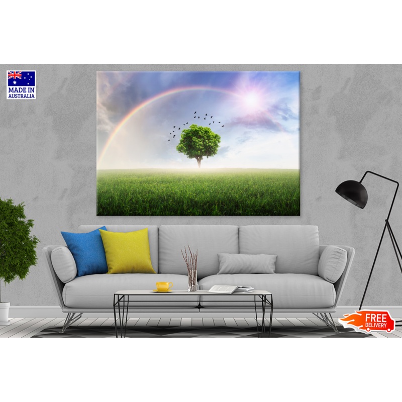 Tree & Rainbrow Sky View Photograph Print 100% Australian Made
