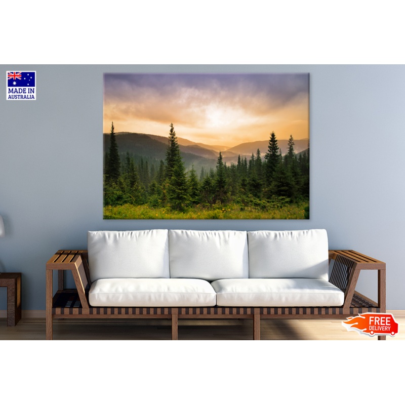 Trees & Blue Sky View Photograph Print 100% Australian Made