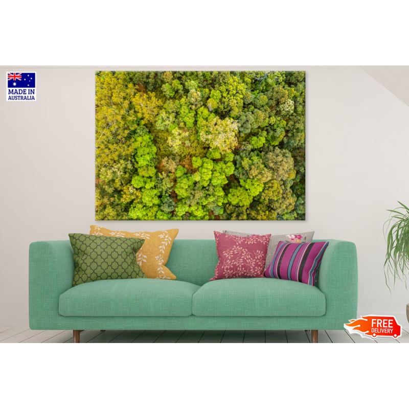 Trees & Forest Aerial View Photograph Print 100% Australian Made