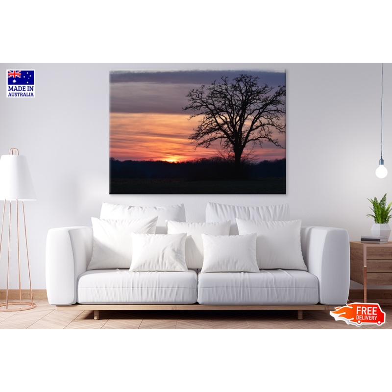Trees & Forest Sunset Scenery Print 100% Australian Made