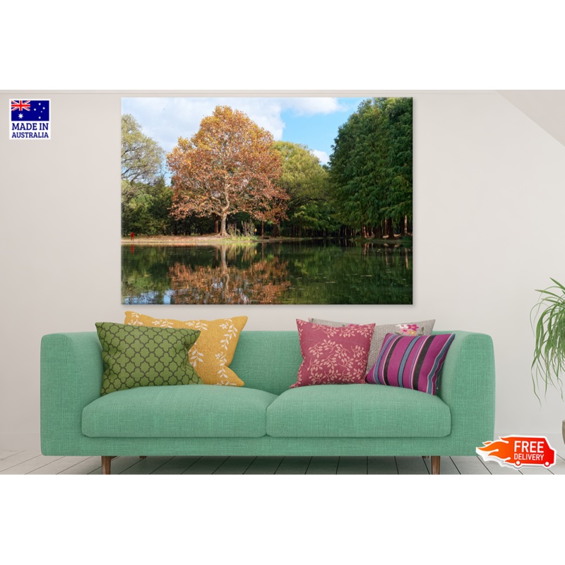 Trees & Lake View Photograph Print 100% Australian Made