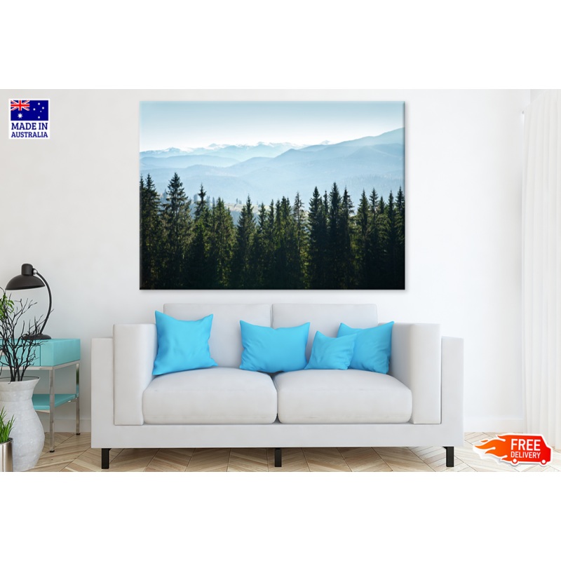 Trees & Misty Sky View Photograph Print 100% Australian Made