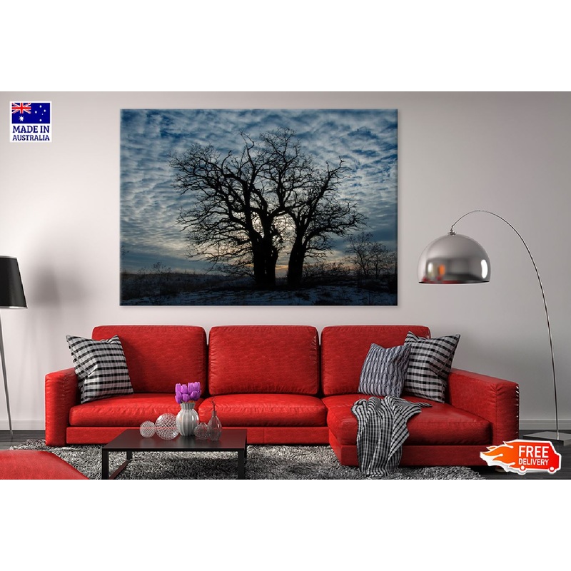 Trees on Hill with Cloudy Winter Photograph Print 100% Australian Made