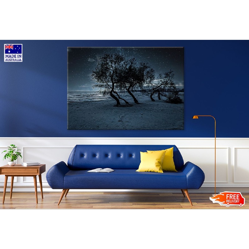 Trees on the Beach at Night View Photograph Print 100% Australian Made