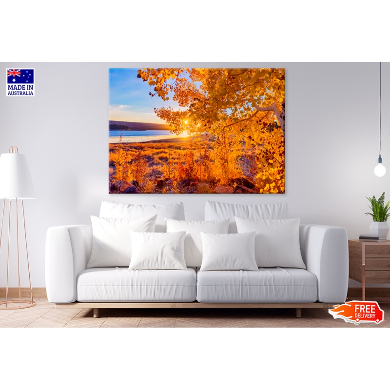 Trees & Sea Sunset Scenery View Print 100% Australian Made