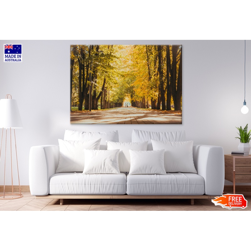 Trees & Walking Path Photograph Print 100% Australian Made