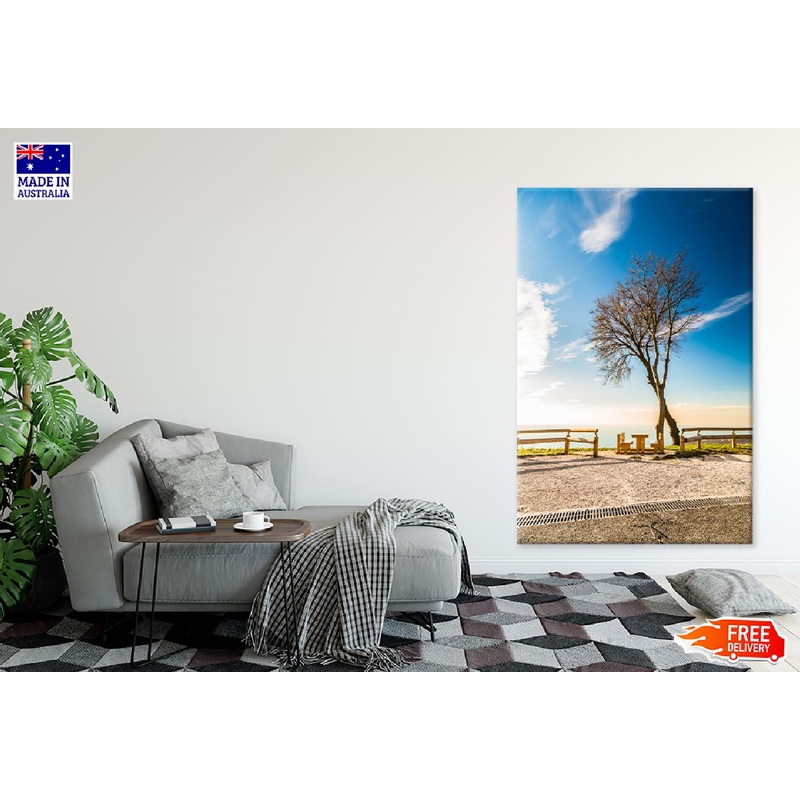 Two Trees & Bench on Top of Bay Photograph Print 100% Australian Made