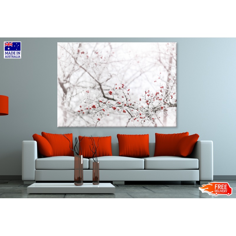 Winter Berries Closeup Photograph View Print 100% Australian Made