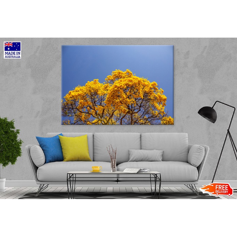 Yellow Autumn Tree Blue Sky View Photograph Print 100% Australian Made