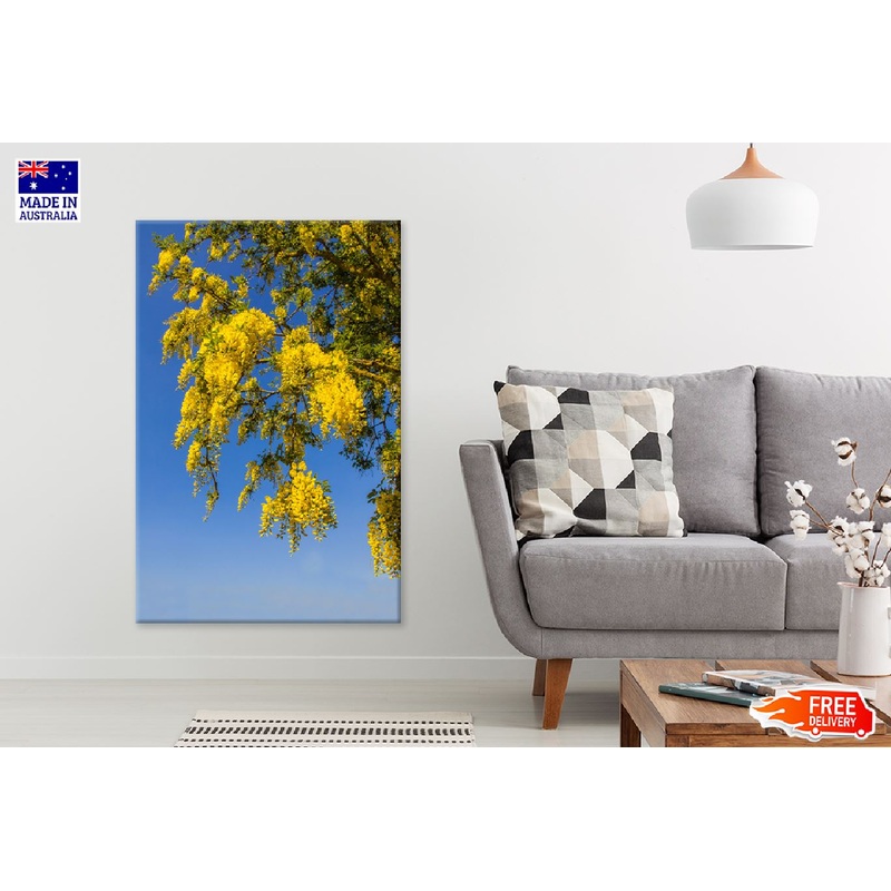 Yellow Autumn Tree Branches View Photograph Print 100% Australian Made