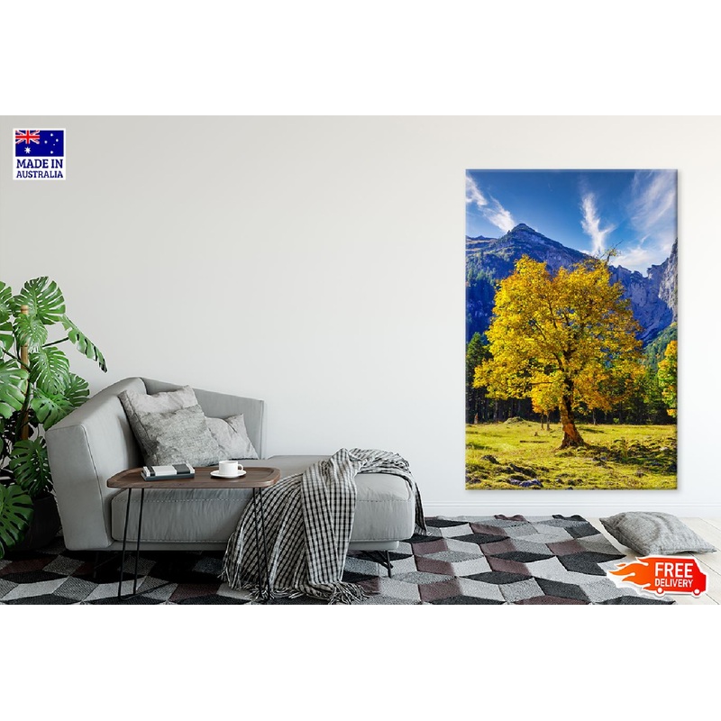 Yellow Autumn Tree & Mountain View Photograph Print 100% Australian Made