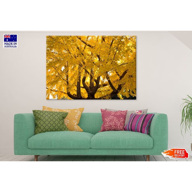 Yellow Autumn Tree with Branches Photograph Print 100% Australian Made